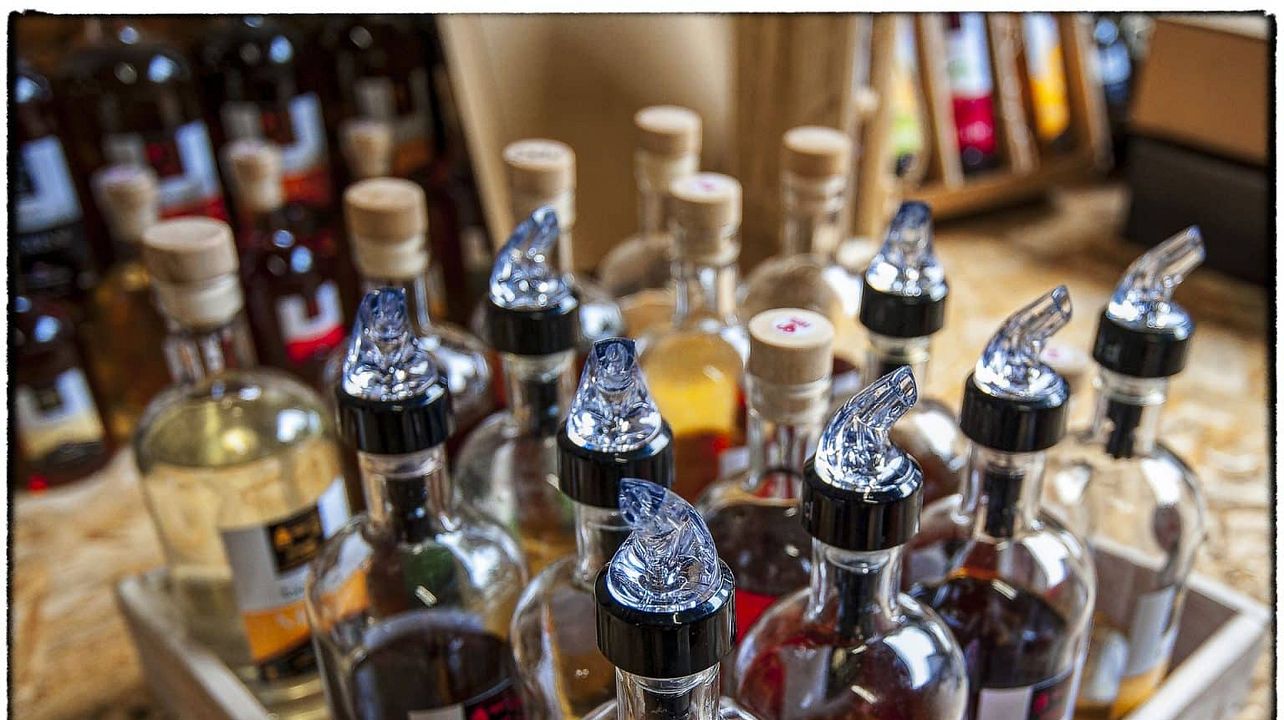 Degustazione di vini e tour alla Distillerie de la Forge