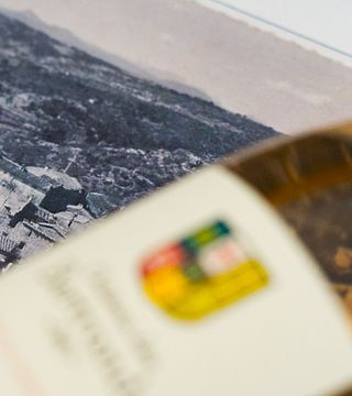Château des Bertrands