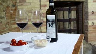 Visita della Cantina e Degustazione presso Cantina Giuliano