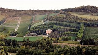 Dalla cantina alla tavola Degustazione da Pandolfa Noelia Ricci