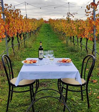 Dégustation et visite des vins de la Società Agricola Podere Riosto