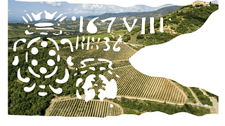 Cata de la última añada de Tassi