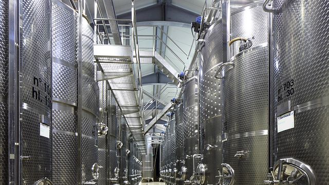 Weinprobe und Tour im Gigliotto Tenute