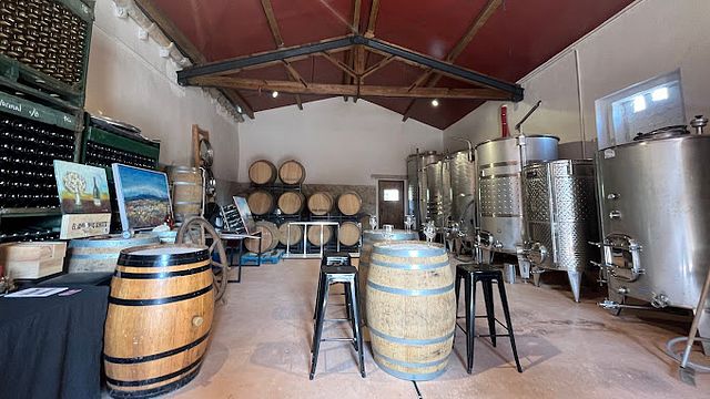 Degustazione di vini all'ombra di un monastero romanico di 1000 anni