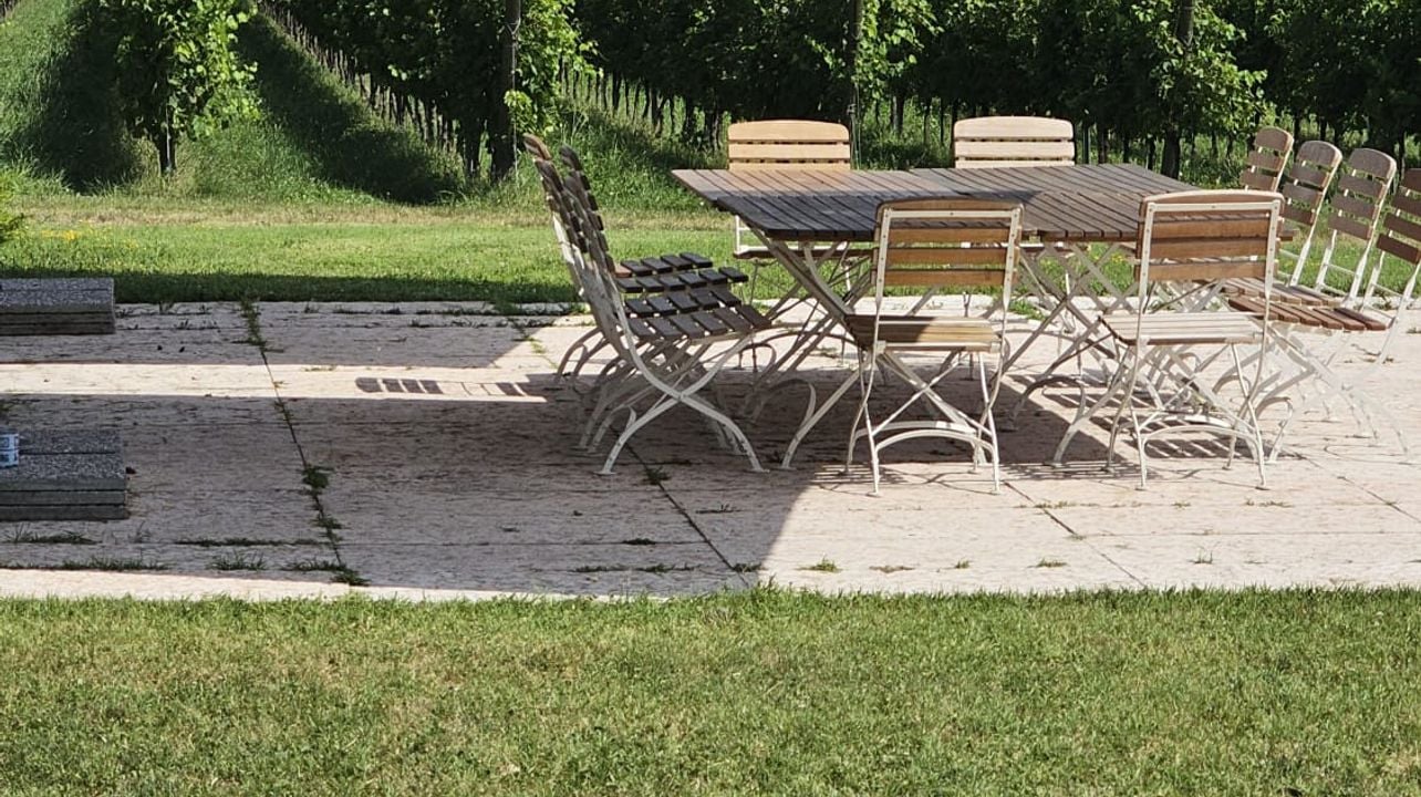 Corvina erfarenhet | Poggio delle Grazie