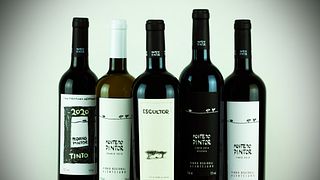 Visita e degustazione di vini al Monte do Pintor
