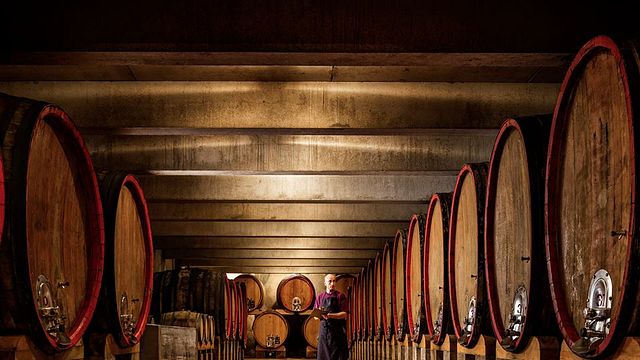 Dégustation et visite de vins au Château La Verrerie