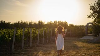 Weinprobe und Kellerführung im Weingut BARAKA