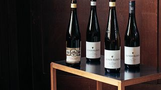 Geführte Weinprobe im Weingut Gunderloch