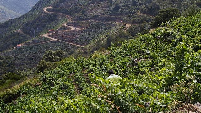 Val Da Lenda Winery