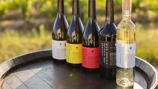 Tóth Ferenc Winery