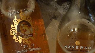 Catalonia Cava & Vineyard Tour at Naveran