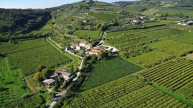Visita a la bodega y cata de vinos en Terre Di Pietra 