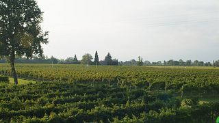 Premium-Weinprobe im Le Carline