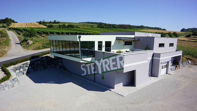 Degustação de vinhos e tour no Weingut Steyrer