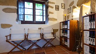 Vinhos Cortém : visite du vignoble et dégustation de 6 vins avec collations