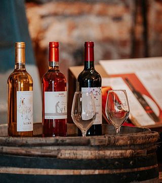 Wine tasting and tour at Mas Alart