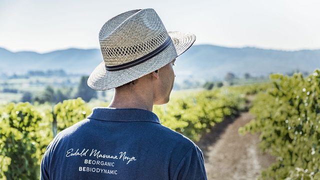 Organic Catalonia: Vineyard Tour & Cava Tasting