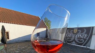 Visita y cata de vinos en ASL Tomé