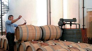 Degustazione e tour di vini presso Frazzitta Vini
