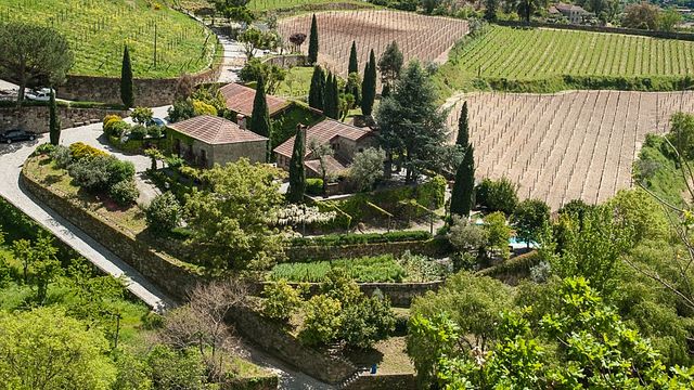 Dégustation de vins et visite de la Quinta de Covela