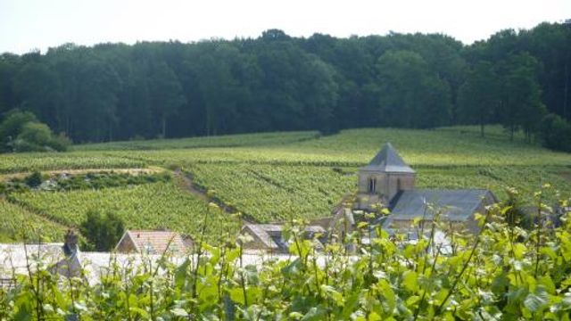 Champagne Jean Pierre Secondé