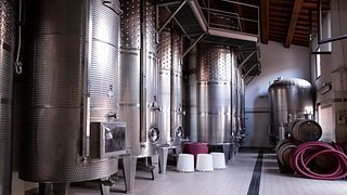 Soave and Valpolicella wine tasting in the Castle Cellar