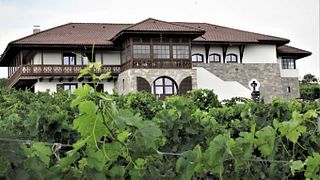 Davino Winery