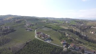 Degustação de Vinhos e Tour em Romana Carlo Azienda Agricola