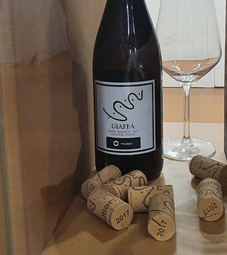 Discover Sardinia’s Native Grapes from Ancient Vines