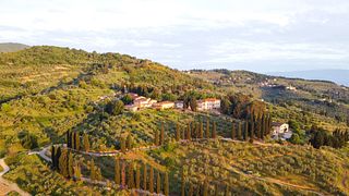 Cellar Wine Tour at Tenuta Di Capezzana