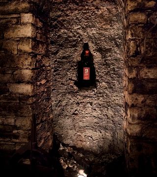 Cata de vinos y visita guiada a Cà' Romé'