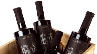 Cata de colores privada: vinos y visita a la Bodega 1808 de Laguardia 