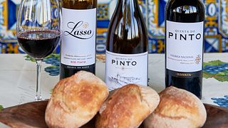 Quinta do Pinto Wein & Tour