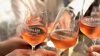 Vinprovning och rundtur på Weingut Schmitt Bergtheim