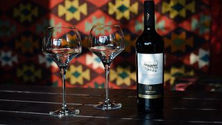 Weinprobe und Tour im Weingut Mtevino