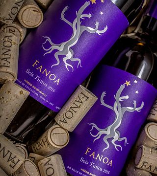 Fanoa