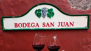 Visita a la bodega y cata de vinos en Bodega San Juan