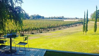 Beliebte Red Top Weinprobe und Tour bei Hewitson