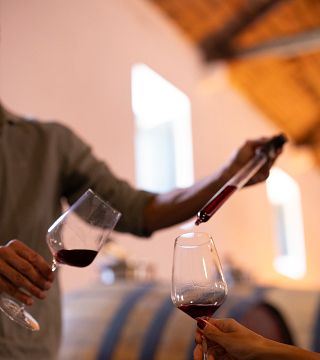 Degustazione di vini presso Viúva Gomes - Colares (gruppo privato)