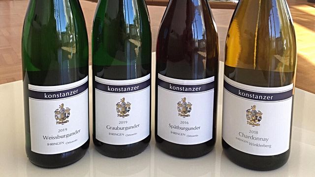 Dégustation de vins et visite au Weingut Konstanzer