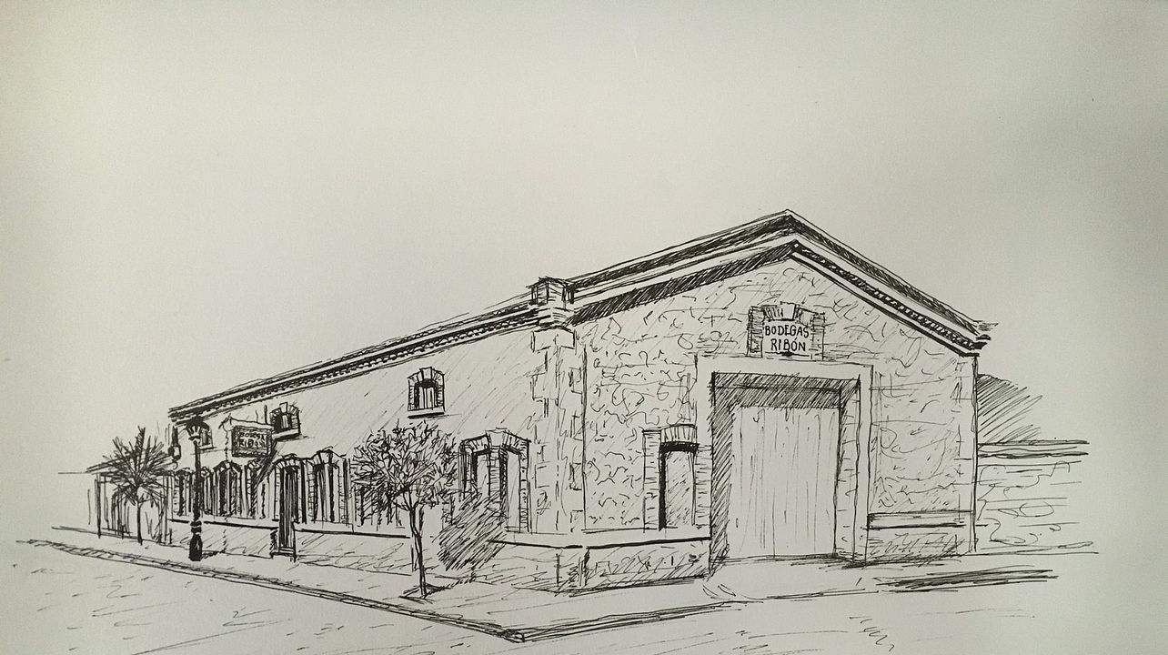 Viñedos Y Bodegas Ribon