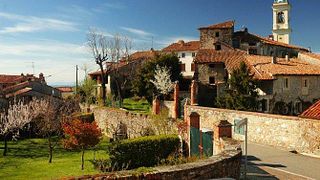 Azienda Agricola Pietro Torti