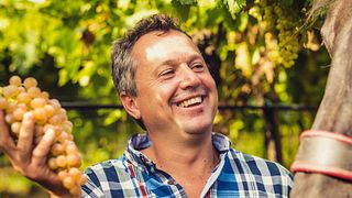 Degustação de vinhos na Azienda Agricola Coffele Alberto Castel Cerino