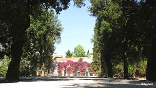Trani Wine Tours: Flavors of Puglia