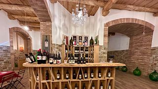 Cilento vinprovning på Tenuta Girapoggio