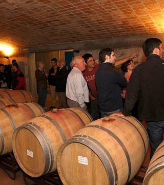 Visite et dégustation de vins au Celler Mas Del Botó