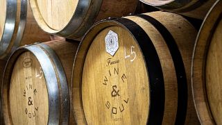 Icon Tasting Experience