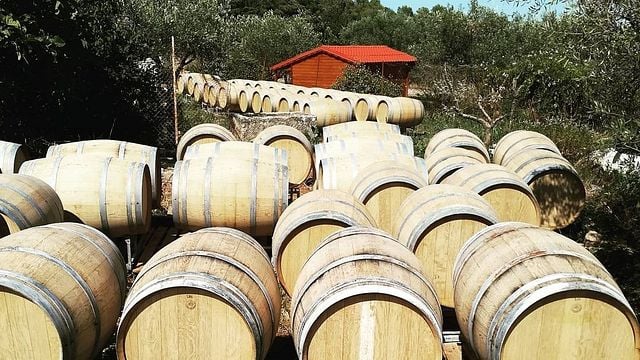 Besuchen und verkosten Sie einen familiären und authentischen Weinberg | Domaine de la vieille