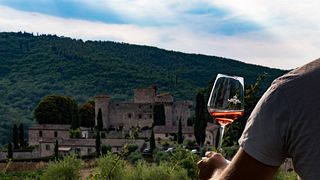 Visita e degustação na vinícola Castello di Meleto
